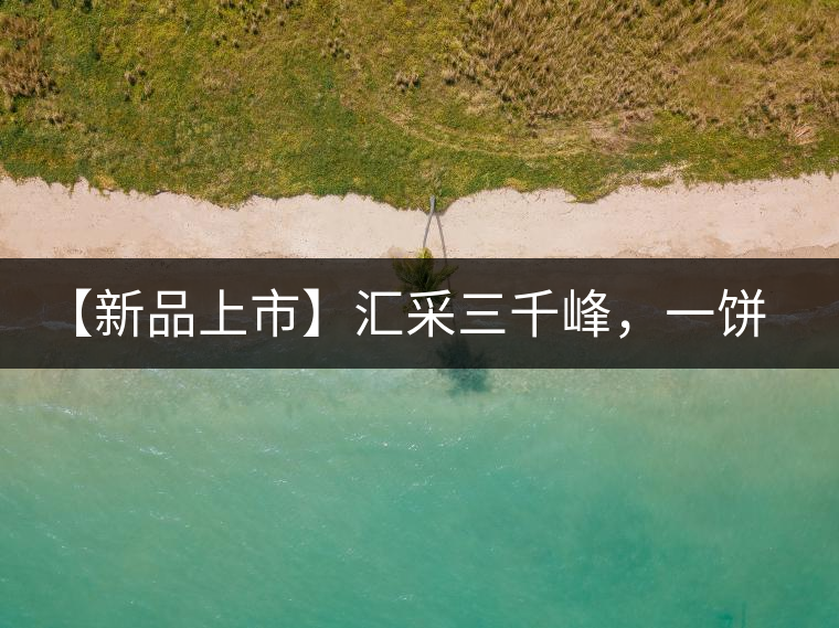 【新品上市】匯采三千峰，一餅群山鑄——群峰之峻！
