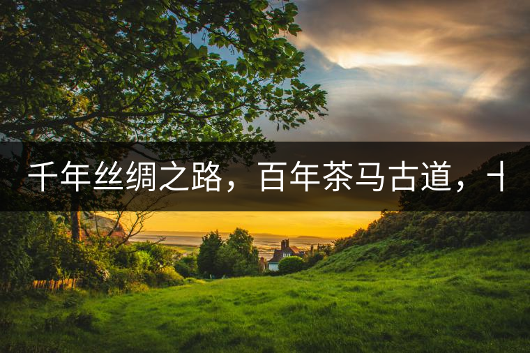 千年絲綢之路，百年茶馬古道，十年尋茶之旅，鑄造Puertea（十年紀念茶）