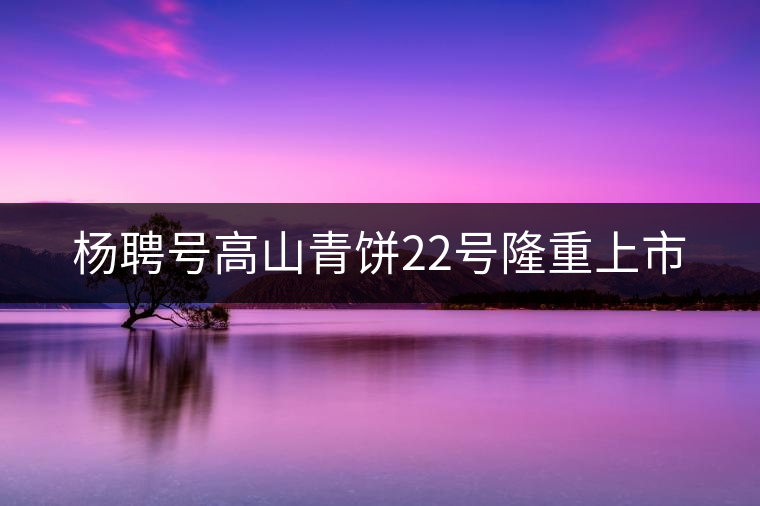 楊聘號(hào)高山青餅22號(hào)隆重上市 楊聘號(hào)高山青餅22號(hào)隆重上市