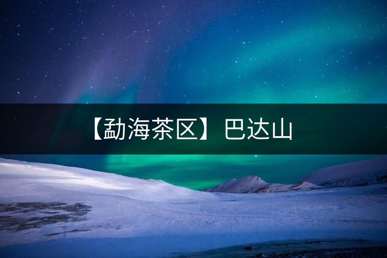 【勐海茶區(qū)】巴達山