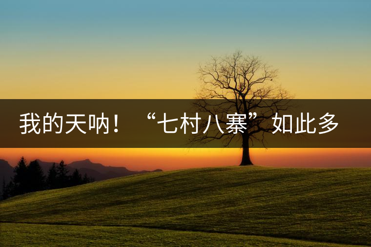 我的天吶！“七村八寨”如此多的易武茶，品質(zhì)特色如何分辨？