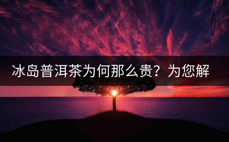 冰島普洱茶為何那么貴？為您解析其中的原由
