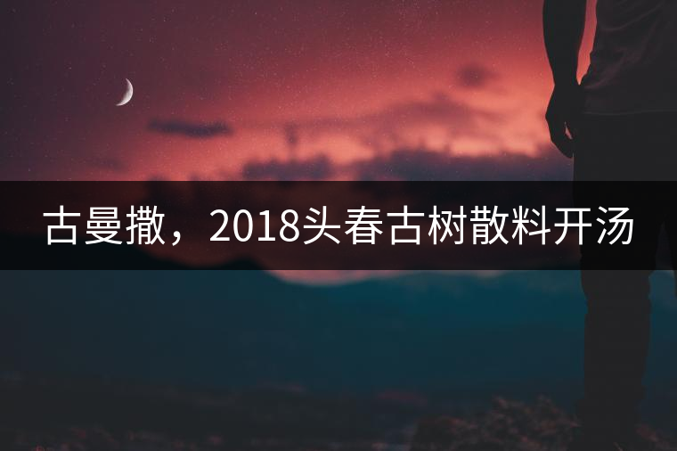 古曼撒，2018頭春古樹(shù)散料開(kāi)湯