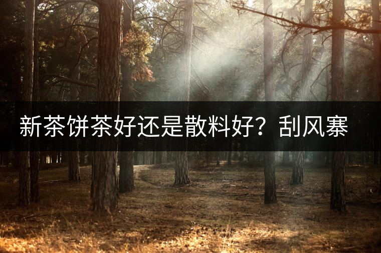 新茶餅茶好還是散料好？刮風(fēng)寨開湯評測