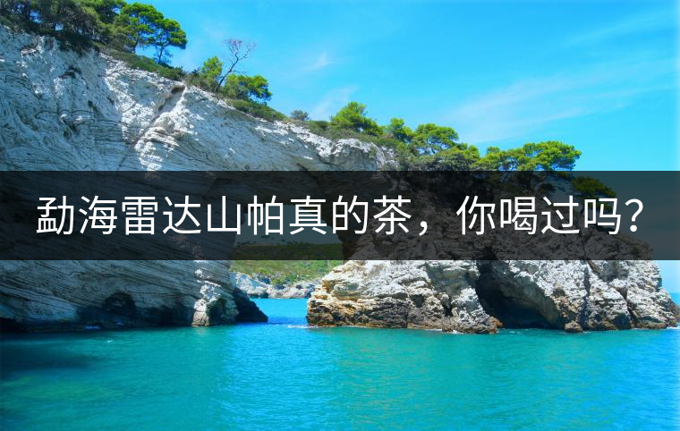 勐海雷達(dá)山帕真的茶，你喝過(guò)嗎？