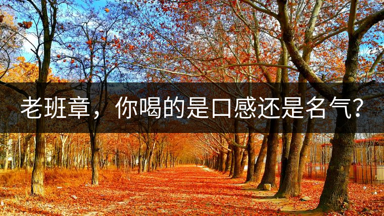 老班章，你喝的是口感還是名氣？