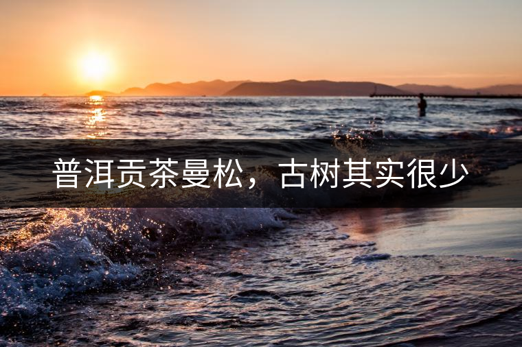 普洱貢茶曼松，古樹其實很少