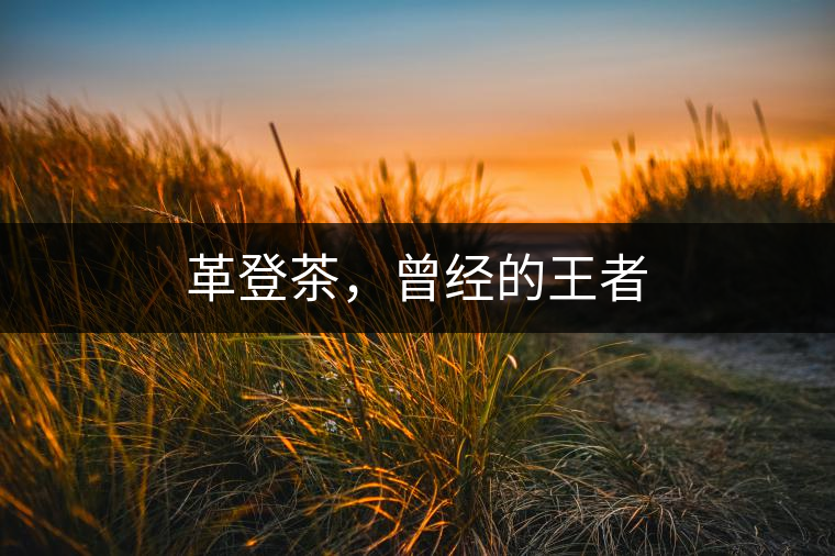 革登茶，曾經(jīng)的王者