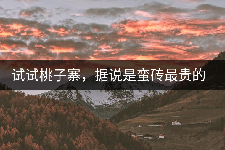 試試桃子寨，據(jù)說是蠻磚最貴的茶