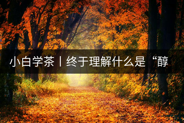 小白學(xué)茶丨終于理解什么是“醇厚、耐泡，回甘”了