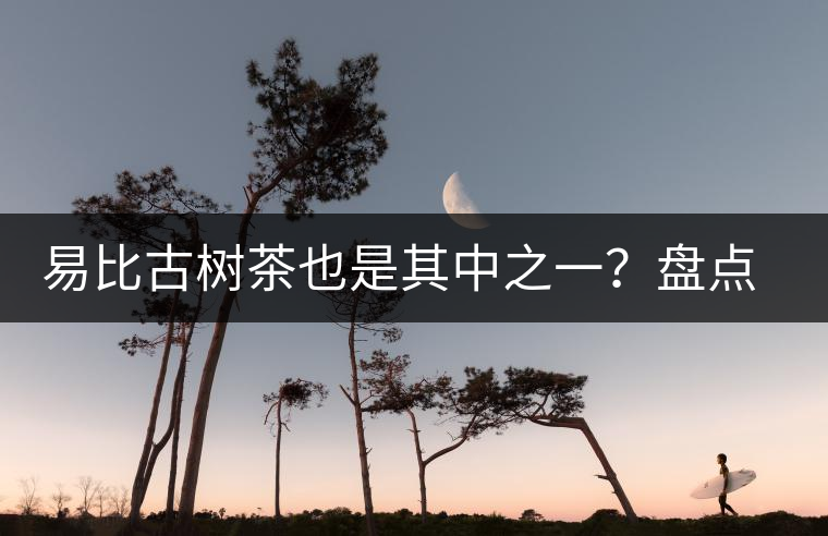 易比古樹茶也是其中之一？盤點當下易武最火的十大古樹茶！