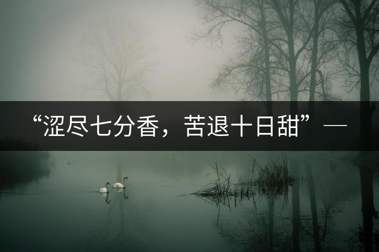 “澀盡七分香，苦退十日甜”─ 老曼娥