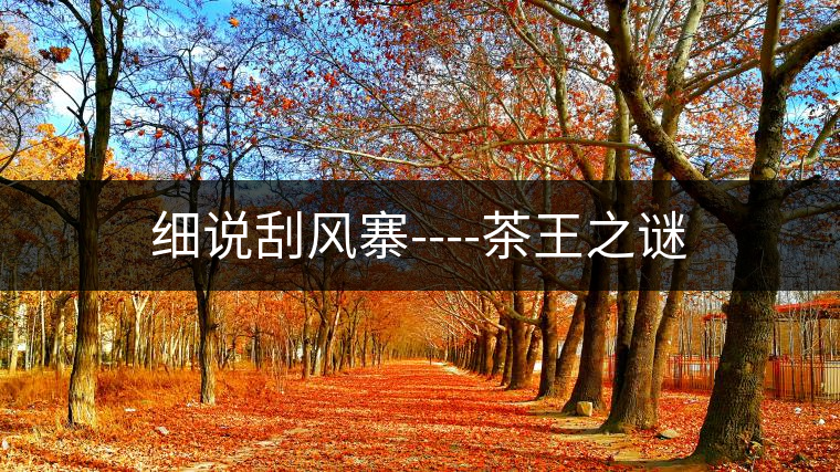 細說刮風(fēng)寨----茶王之謎