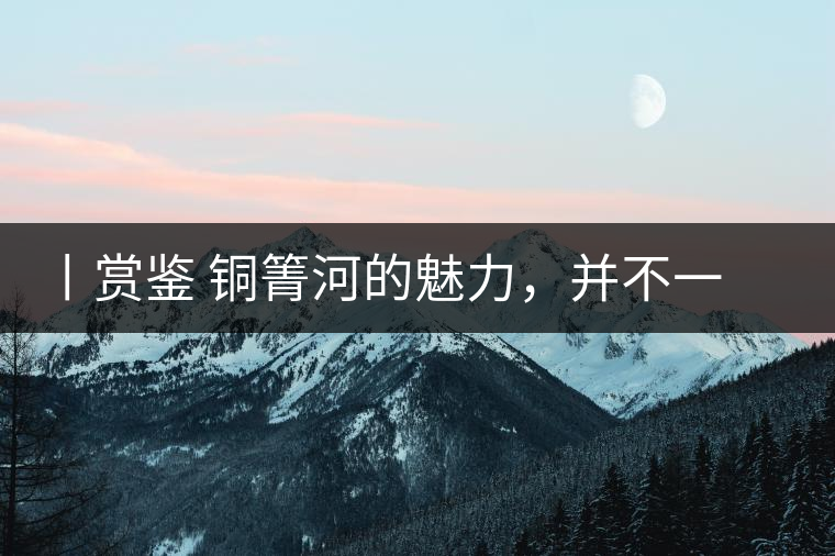 丨賞鑒 銅箐河的魅力，并不一定要古樹來體現(xiàn)