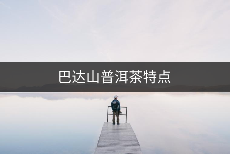 巴達山普洱茶特點