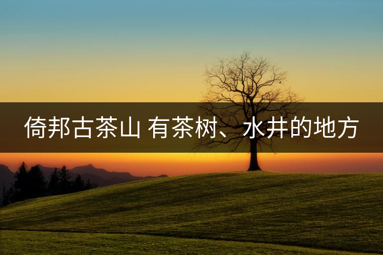 倚邦古茶山 有茶樹、水井的地方