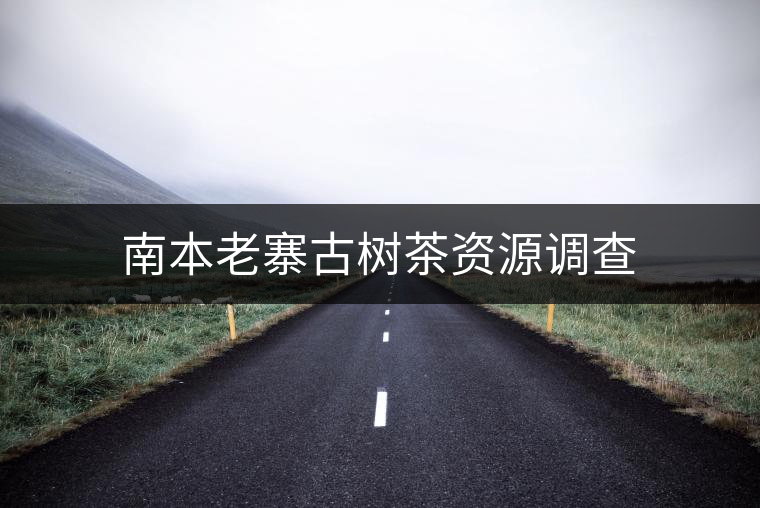 南本老寨古樹茶資源調查