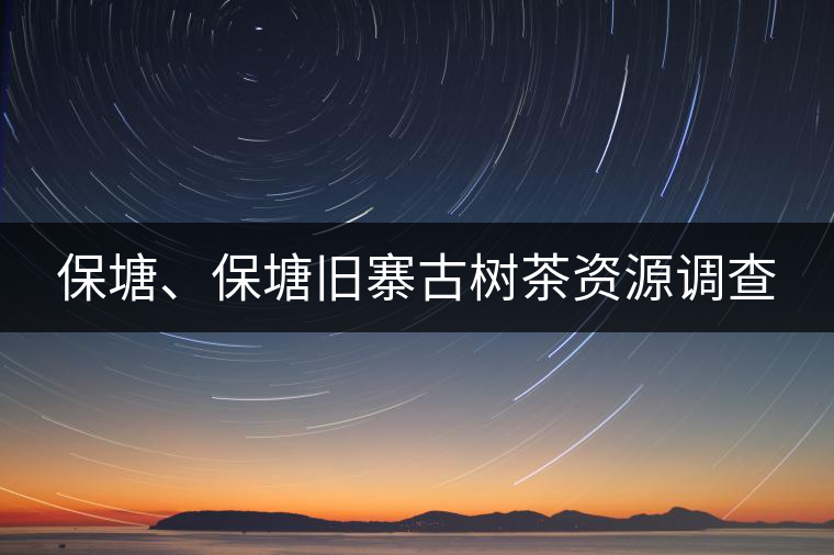 保塘、保塘舊寨古樹(shù)茶資源調(diào)查