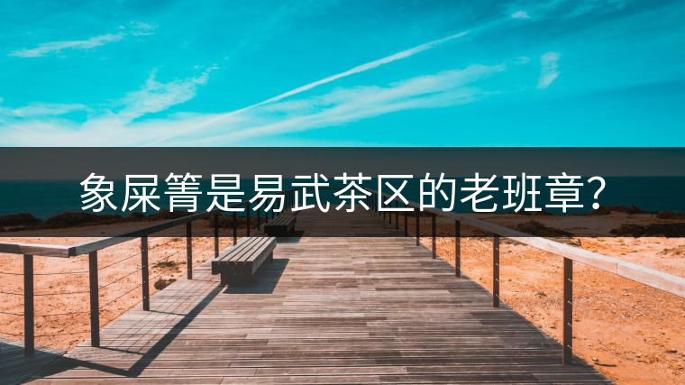 象屎箐是易武茶區(qū)的老班章？