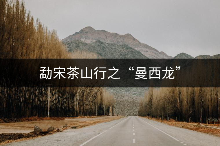 勐宋茶山行之“曼西龍”