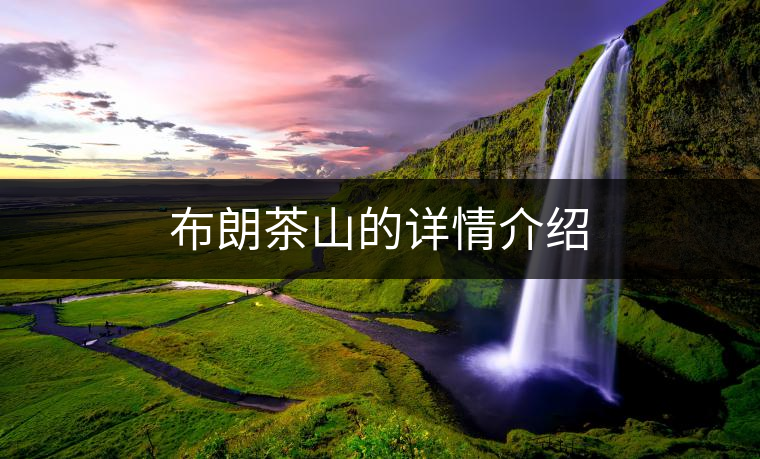 布朗茶山的詳情介紹