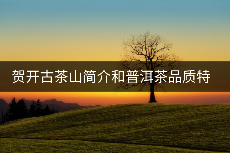 賀開(kāi)古茶山簡(jiǎn)介和普洱茶品質(zhì)特點(diǎn)