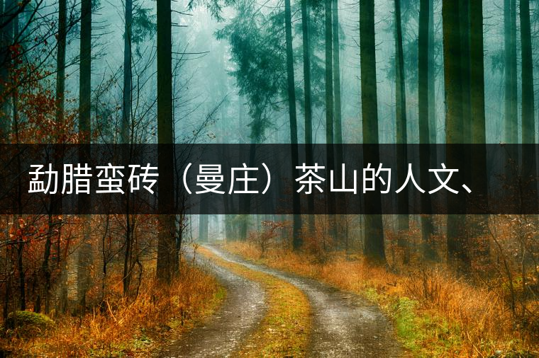 勐臘蠻磚（曼莊）茶山的人文、生態(tài)