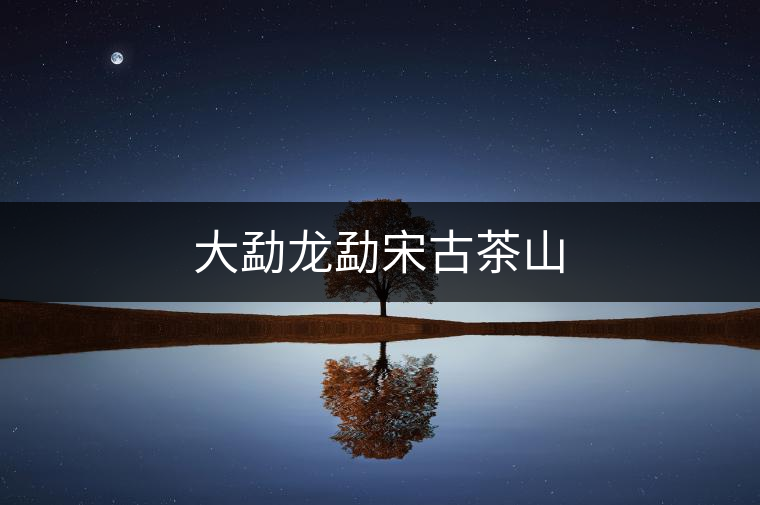 大勐龍勐宋古茶山