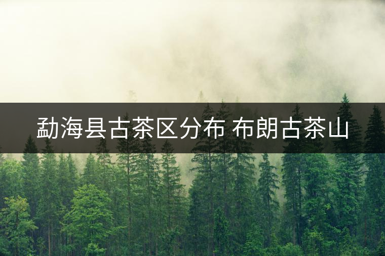 勐?？h古茶區(qū)分布 布朗古茶山