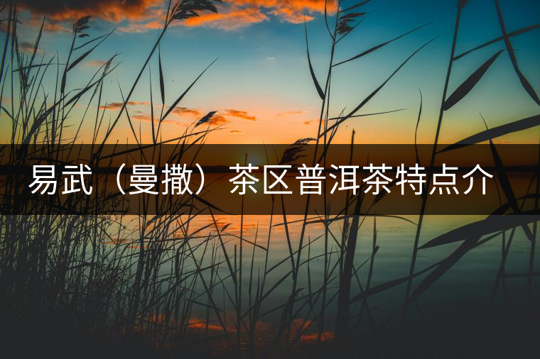 易武（曼撒）茶區(qū)普洱茶特點(diǎn)介紹