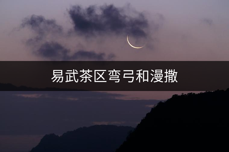 易武茶區(qū)彎弓和漫撒 易武茶區(qū)彎弓和漫撒