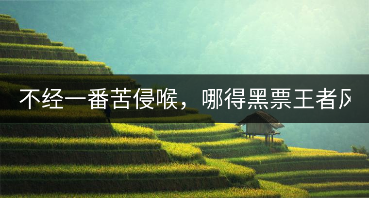 不經(jīng)一番苦侵喉，哪得黑票王者風(fēng)！