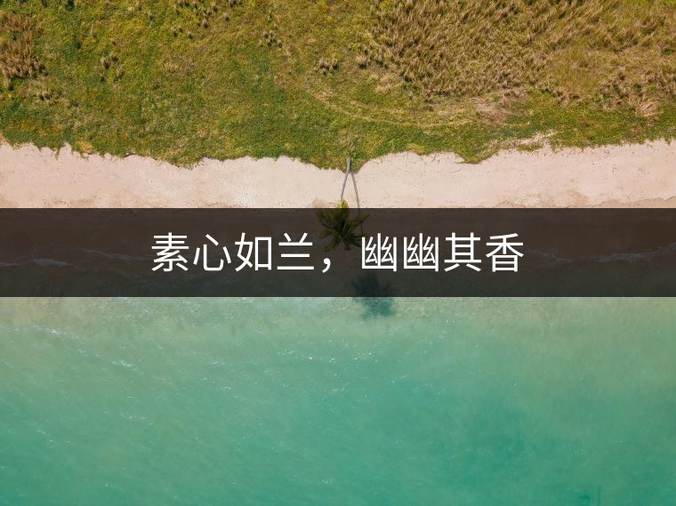 素心如蘭，幽幽其香