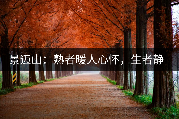 景邁山：熟者暖人心懷，生者靜品歲月