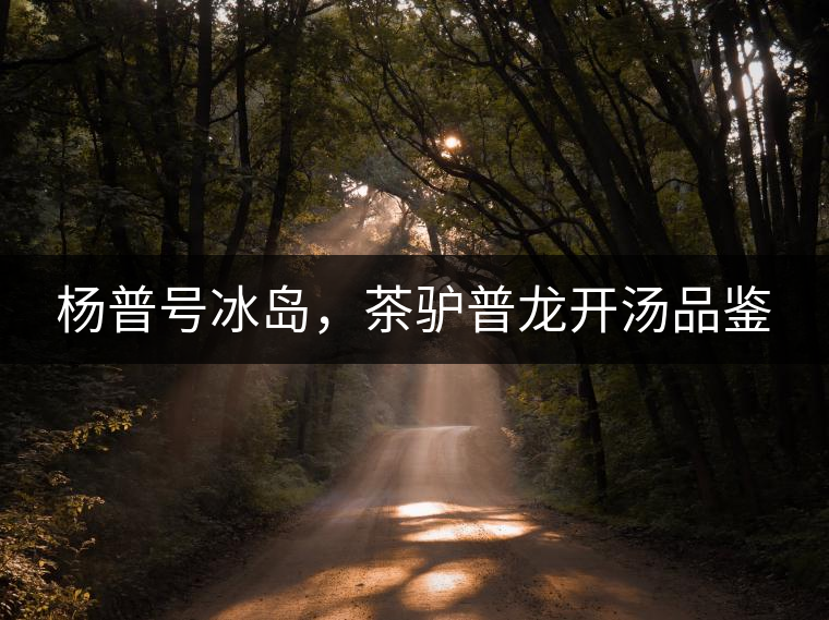 楊普號(hào)冰島，茶驢普龍開湯品鑒