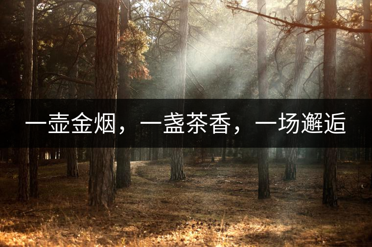 一壺金煙，一盞茶香，一場邂逅