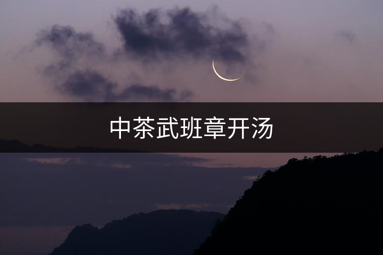 中茶武班章開(kāi)湯 中茶武班章開(kāi)湯
