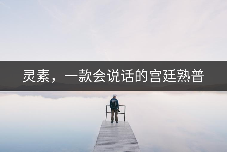 靈素，一款會(huì)說話的宮廷熟普