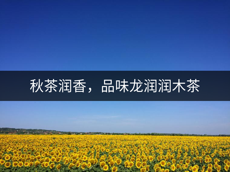 秋茶潤香，品味龍潤潤木茶