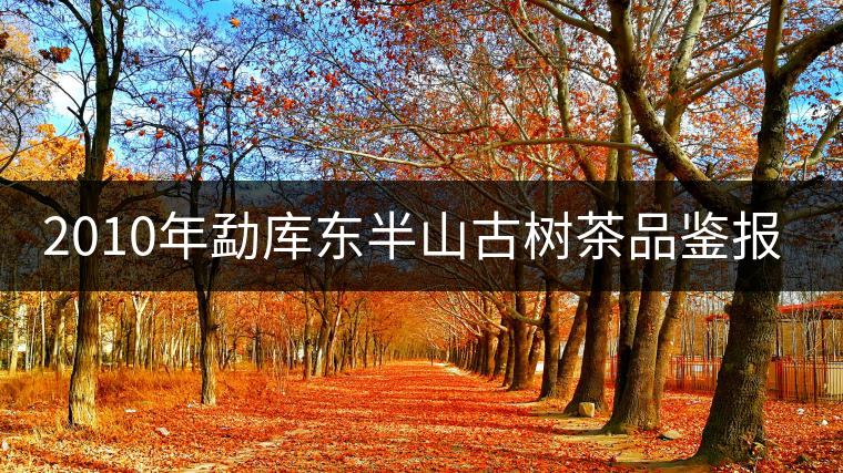 2010年勐庫東半山古樹茶品鑒報告 2010年勐庫東半山古樹茶品鑒報告