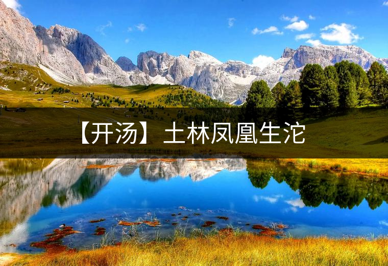 【開湯】土林鳳凰生沱