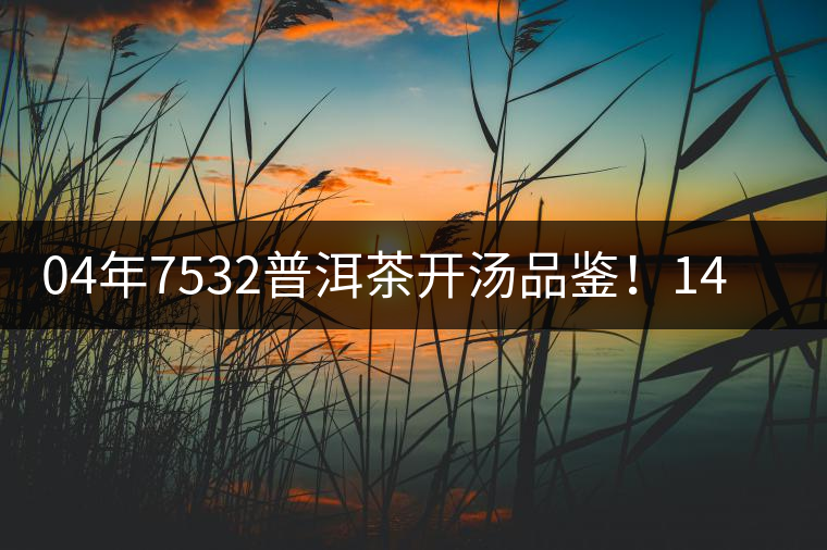 04年7532普洱茶開湯品鑒！14年轉(zhuǎn)化，經(jīng)典雪印配方！
