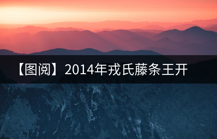 【圖閱】2014年戎氏藤條王開湯