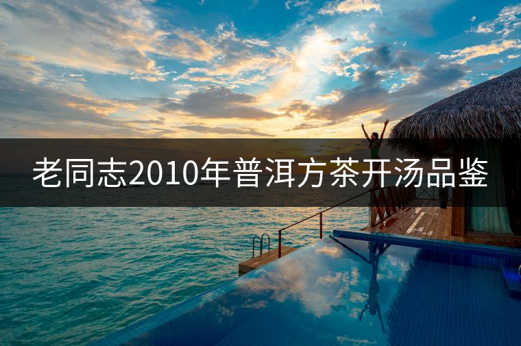 老同志2010年普洱方茶開湯品鑒 老同志2010年普洱方茶開湯品鑒