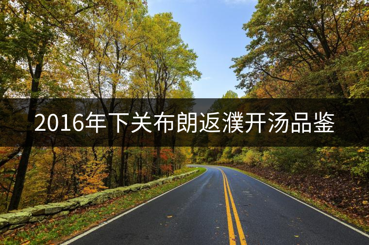 2016年下關(guān)布朗返濮開(kāi)湯品鑒