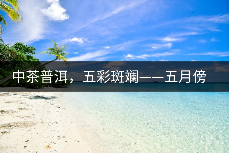 中茶普洱，五彩斑斕——五月傍晚，一道茶