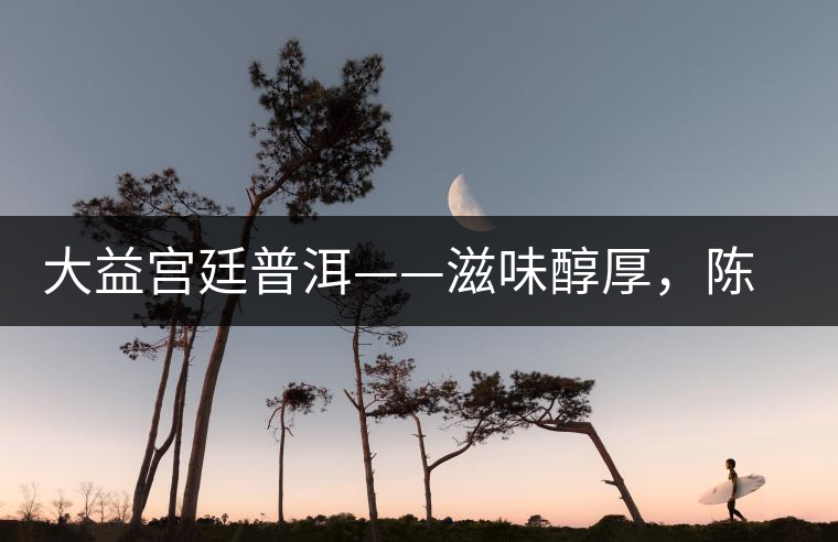 大益宮廷普洱——滋味醇厚，陳香濃郁