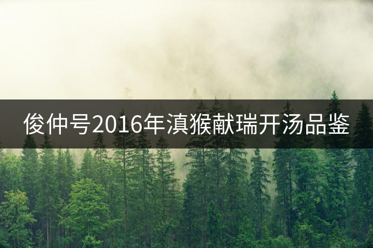俊仲號(hào)2016年滇猴獻(xiàn)瑞開湯品鑒