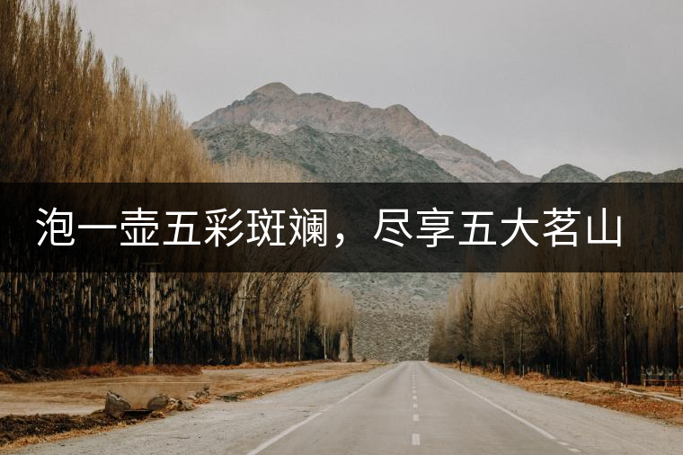 泡一壺五彩斑斕，盡享五大茗山之味