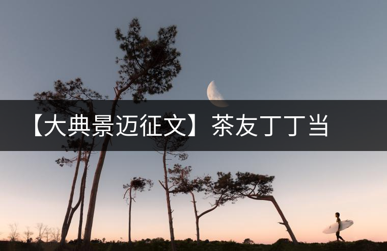 【大典景邁征文】茶友丁丁當(dāng) 開(kāi)湯品鑒